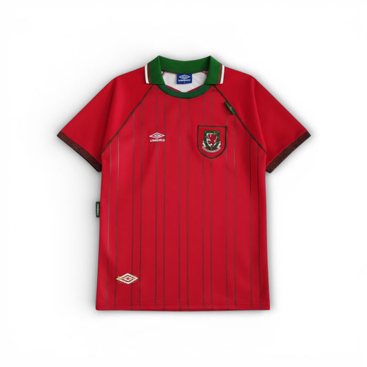 WALES 94 x SPEED JERSEY